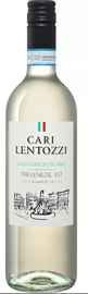 Вино белое сухое «Cari Lentozzi Sauvignon Blanc Trevenezie Villa Degli» 2019 г.