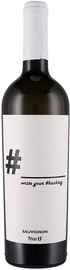 Вино белое сухое «Ferro 13 Hashtag Veneto 3Rockets» 2016 г.